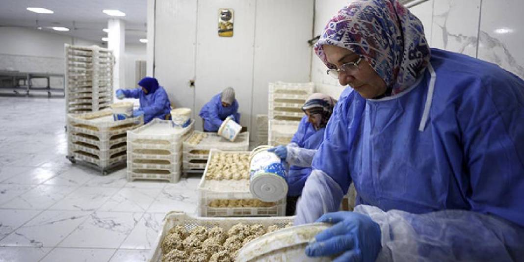 Osmanlı usulüyle yapılıyor, tesciliyle nam salıyor! Malatya’nın meşhur tarhanası ihracat için hazırlanıyor 4